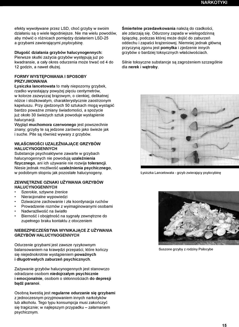Długość działania grzybów halucynogennych: Pierwsze skutki zażycia grzybów występują już po kwadransie, a cały okres odurzenia może trwać od 4 do 12 godzin, a nawet dłużej.