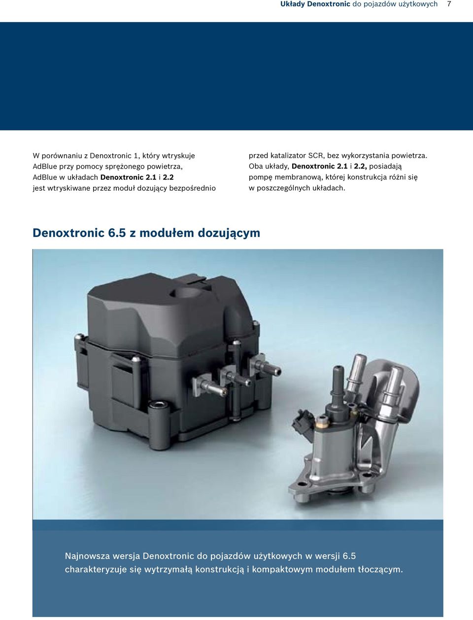 Oba układy, Denoxtronic 2.1 i 2.2, posiadają pompę membranową, której konstrukcja różni się w poszczególnych układach. Denoxtronic 6.