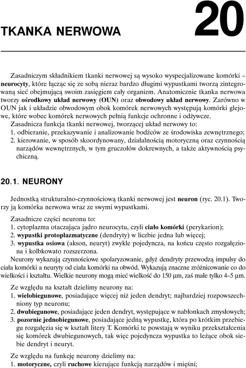 Zarówno w OUN jak i układzie obwodowym obok komórek nerwowych występują komórki glejowe, które wobec komórek nerwowych pełnią funkcje ochronne i odżywcze.