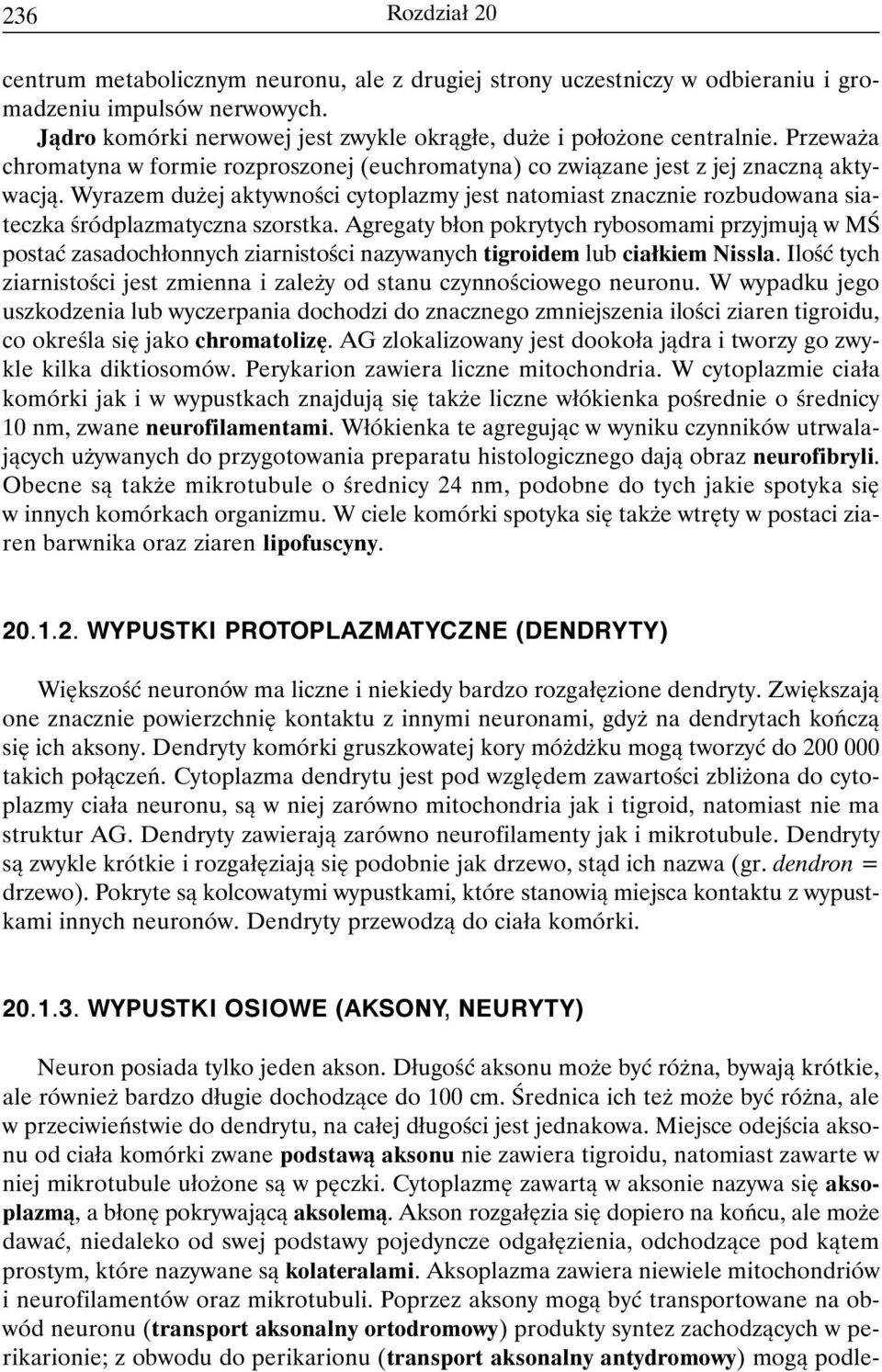 Wyrazem dużej aktywności cytoplazmy jest natomiast znacznie rozbudowana siateczka śródplazmatyczna szorstka.