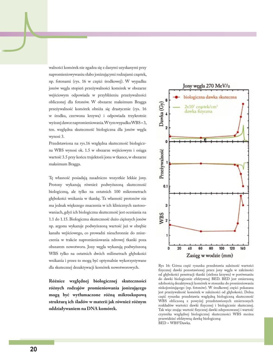 W obszarze maksimum Bragga przeżywalność komórek obniża się drastycznie (rys. 16 w środku, czerwona krzywa) i odpowiada trzykrotnie wyższej dawce napromieniowania. W tym wypadku WBS = 3, tzn.