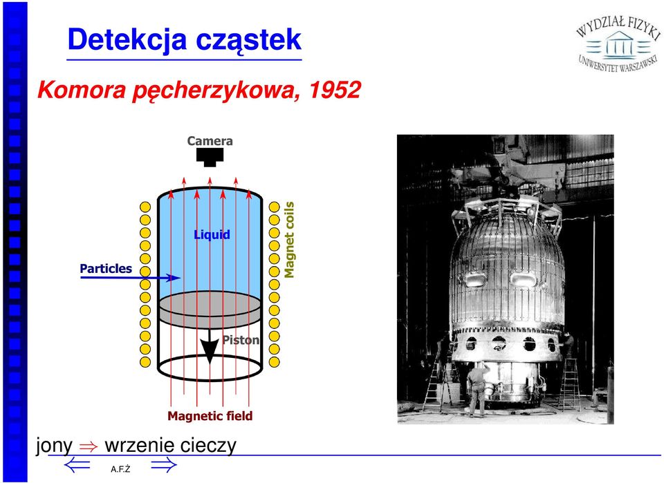 pęcherzykowa,