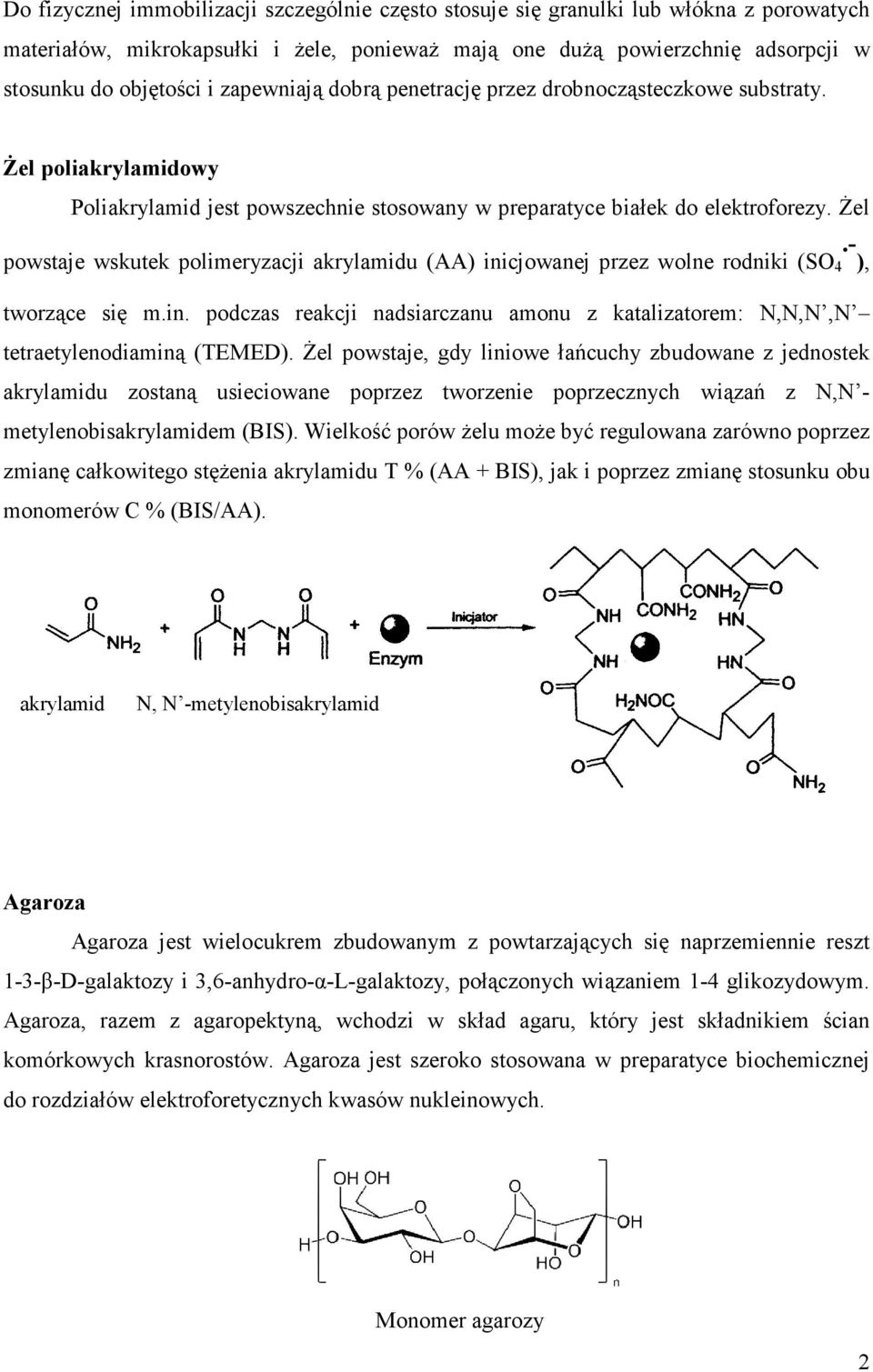 in. podczas reakcji nadsiarczanu amonu z katalizatorem: N,N,N,N tetraetylenodiaminą (TEMED).