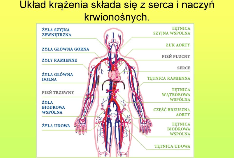 składa się z