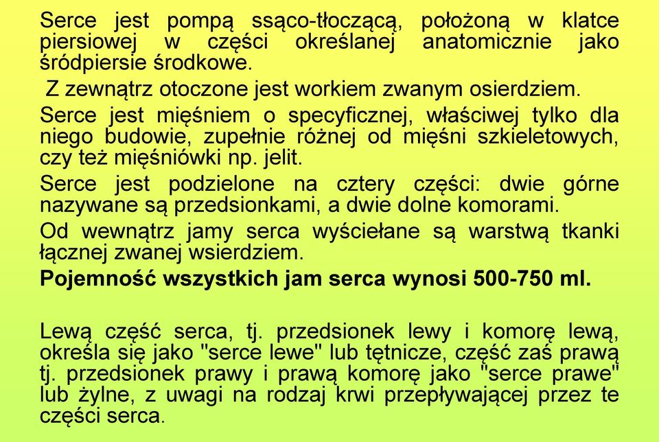 Serce jest podzielone na cztery części: dwie górne nazywane są przedsionkami, a dwie dolne komorami. Od wewnątrz jamy serca wyściełane są warstwą tkanki łącznej zwanej wsierdziem.