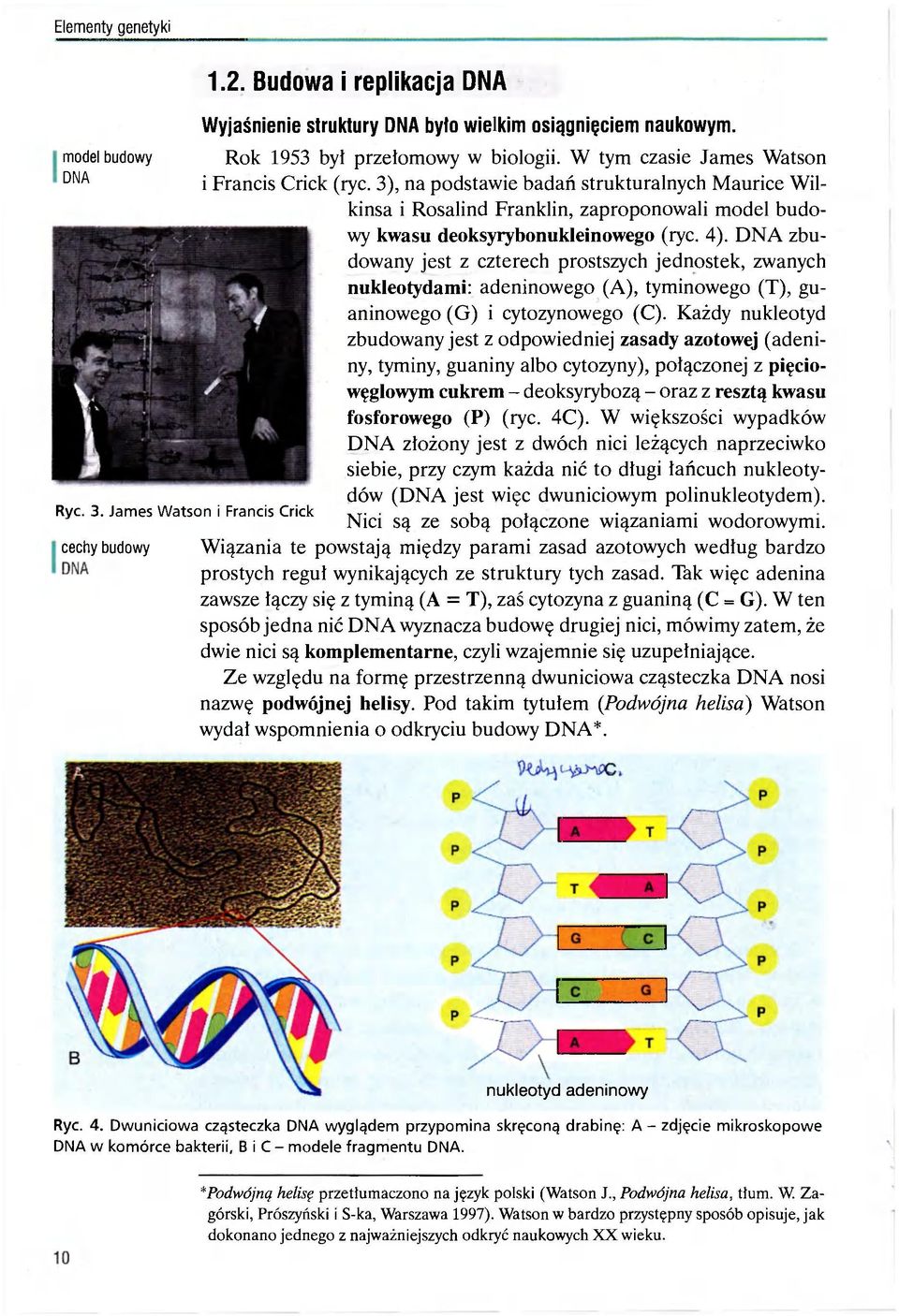 DNA zbudowany jest z czterech prostszych jednostek, zwanych nukleotydami: adeninowego (A), tyminowego (T), guaninowego (G) i cytozynowego (C).