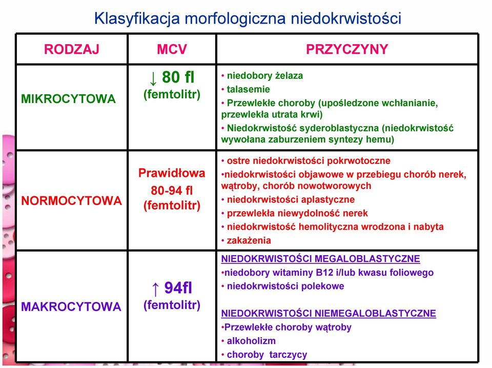 PRZYCZYNY Przewlekłe choroby (upośledzone wchłanianie, przewlekła utrata krwi) Niedokrwistość syderoblastyczna (niedokrwistość wywołana zaburzeniem syntezy hemu) MAKROCYTOWA 94fl (femtolitr)