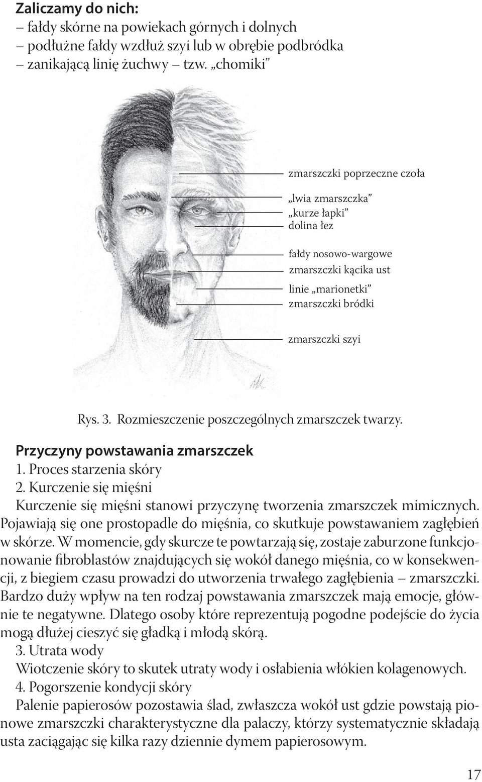 Rozmieszczenie poszczególnych zmarszczek twarzy. Przyczyny powstawania zmarszczek 1. Proces starzenia skóry 2.