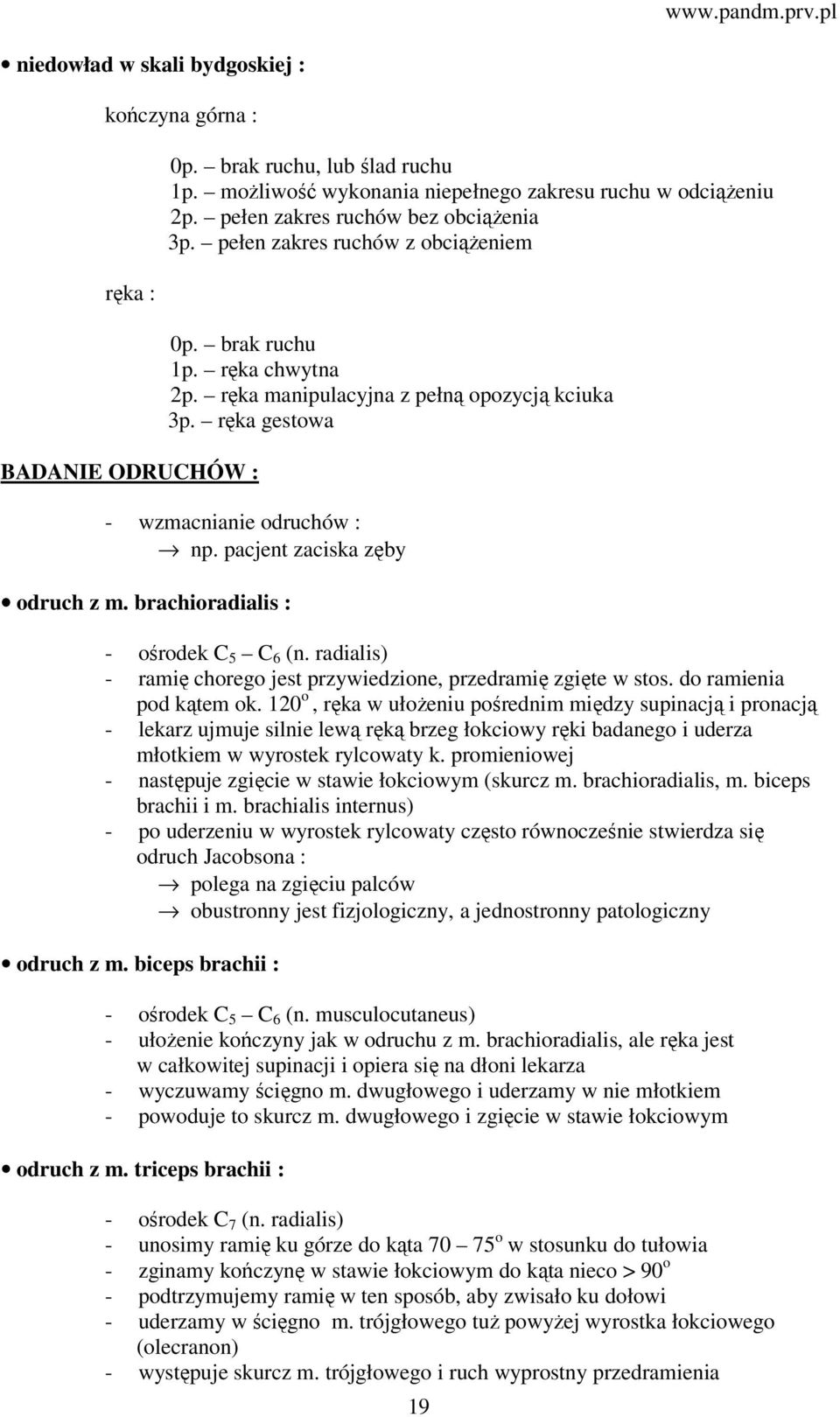 pacjent zaciska zęby odruch z m. brachioradialis : - ośrodek C 5 C 6 (n. radialis) - ramię chorego jest przywiedzione, przedramię zgięte w stos. do ramienia pod kątem ok.