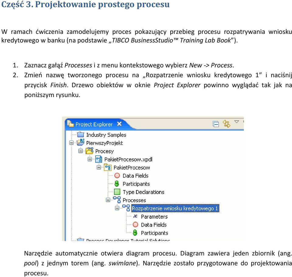 BusinessStudio Training Lab Book ). 1. Zaznacz gałąź Processes i z menu kontekstowego wybierz New -> Process. 2.