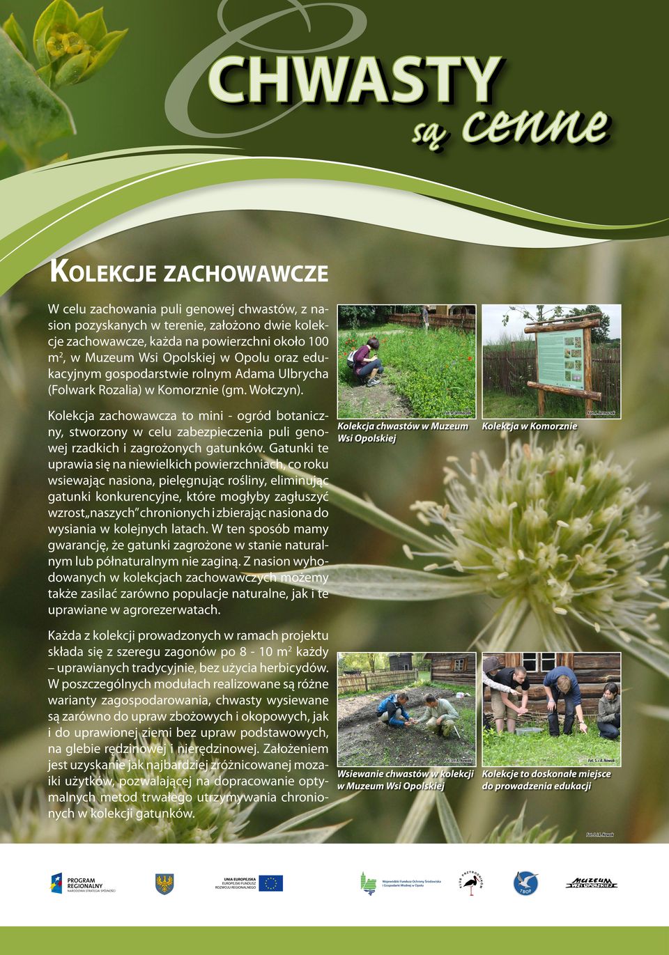 Kolekcja zachowawcza to mini - ogród botaniczny, stworzony w celu zabezpieczenia puli genowej rzadkich i zagrożonych gatunków.