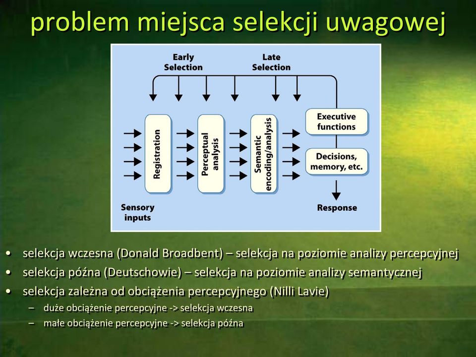 analizy semantycznej selekcja zależna od obciążenia percepcyjnego (Nilli Lavie)