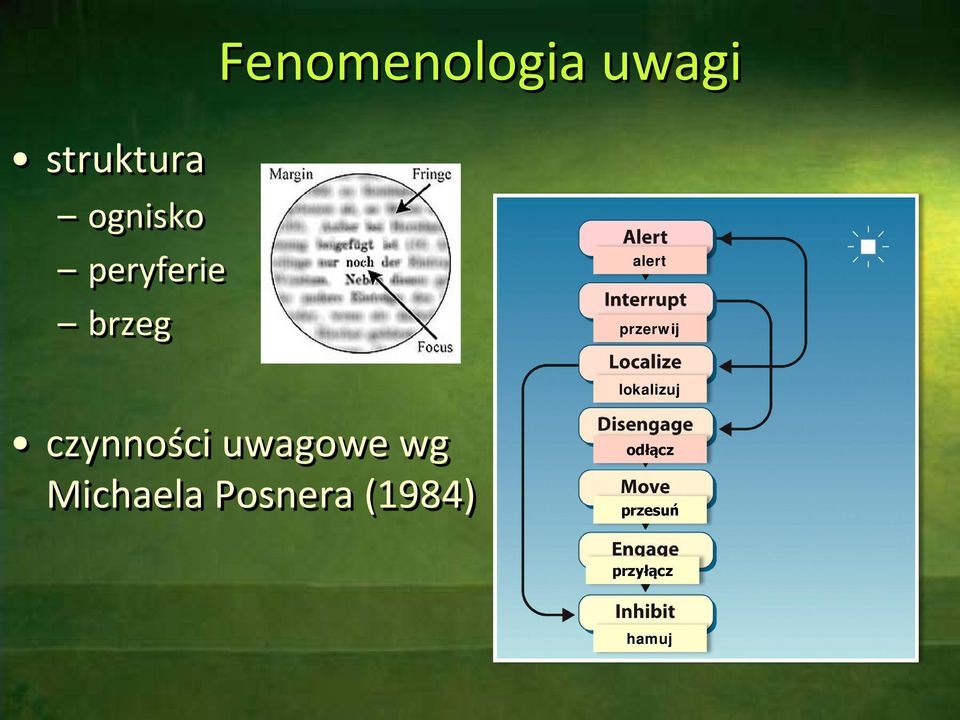 lokalizuj czynności uwagowe wg