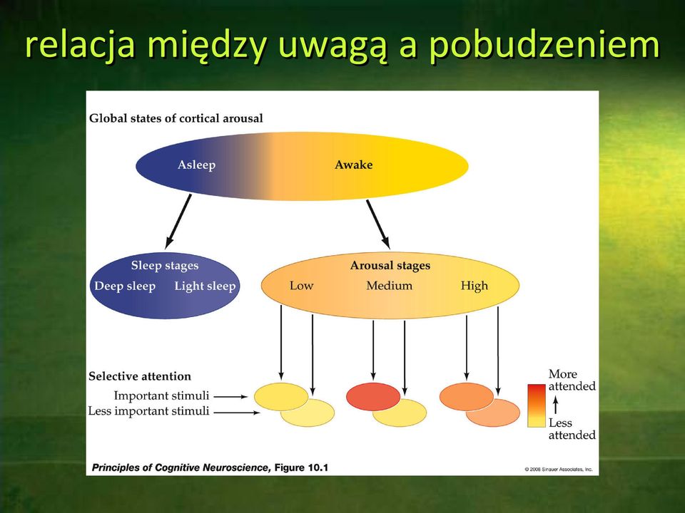 uwagą a