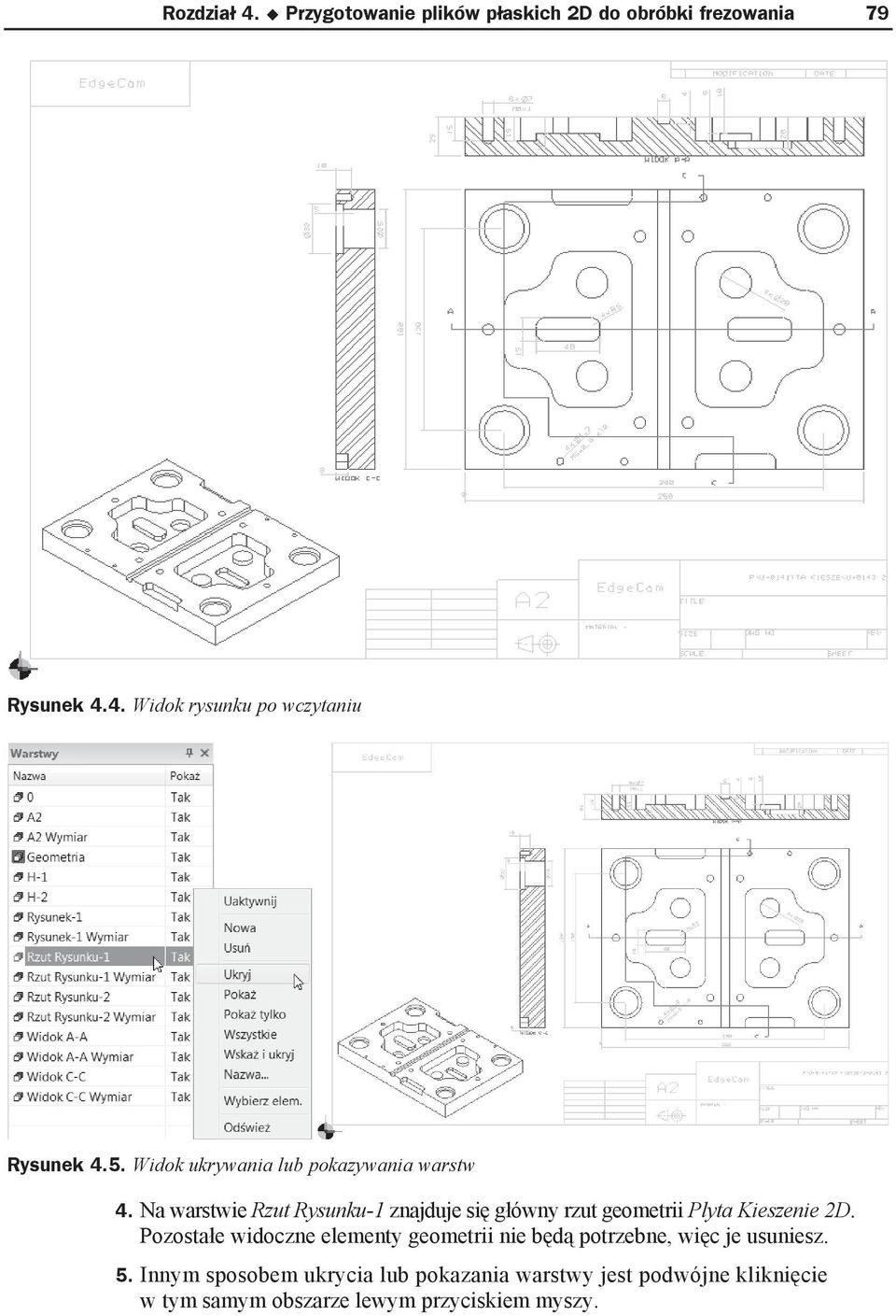 Na warstwie Rzut Rysunku-1 znajduje si g ówny rzut geometrii Plyta Kieszenie 2D.