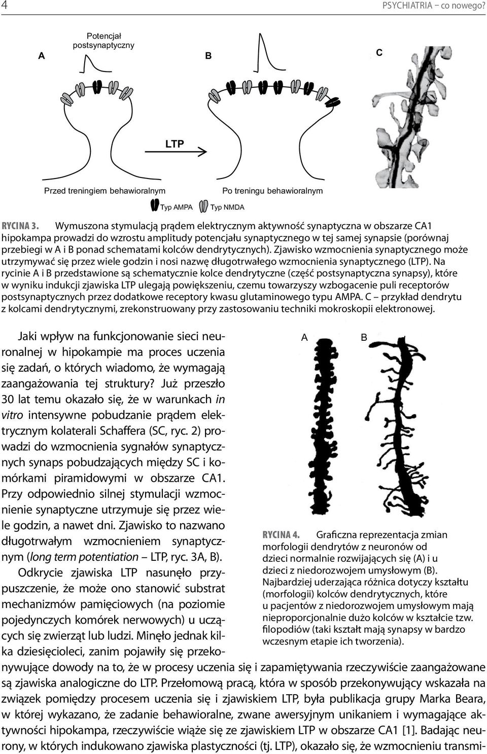 schematami kolców dendrytycznych). Zjawisko wzmocnienia synaptycznego może utrzymywać się przez wiele godzin i nosi nazwę długotrwałego wzmocnienia synaptycznego (LTP).