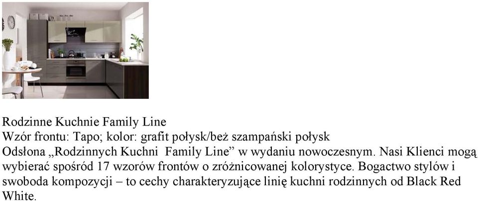 Nasi Klienci mogą wybierać spośród 17 wzorów frontów o zróżnicowanej kolorystyce.