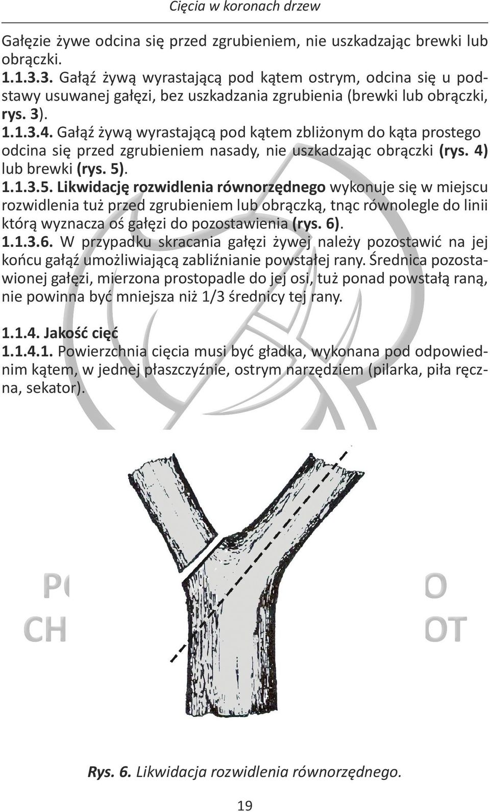 Gałąź żywą wyrastającą pod kątem zbliżonym do kąta prostego odcina się przed zgrubieniem nasady, nie uszkadzając obrączki (rys. 4) lub brewki (rys. 5)
