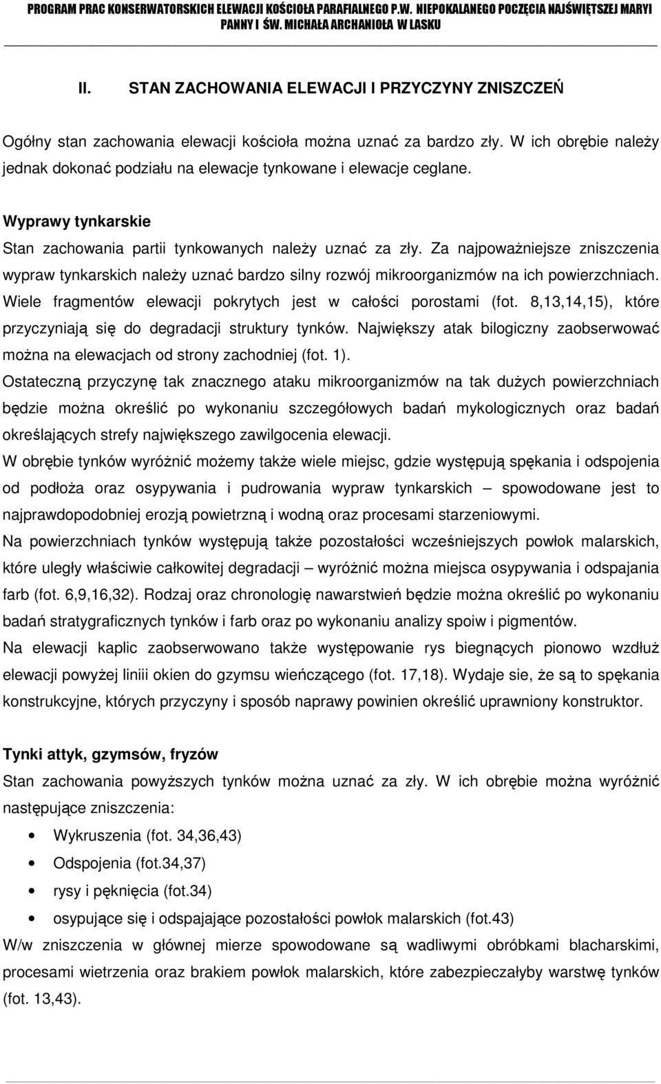 Za najpoważniejsze zniszczenia wypraw tynkarskich należy uznać bardzo silny rozwój mikroorganizmów na ich powierzchniach. Wiele fragmentów elewacji pokrytych jest w całości porostami (fot.