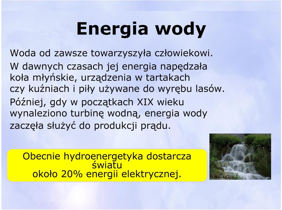 piły używane do wyrębu lasów.