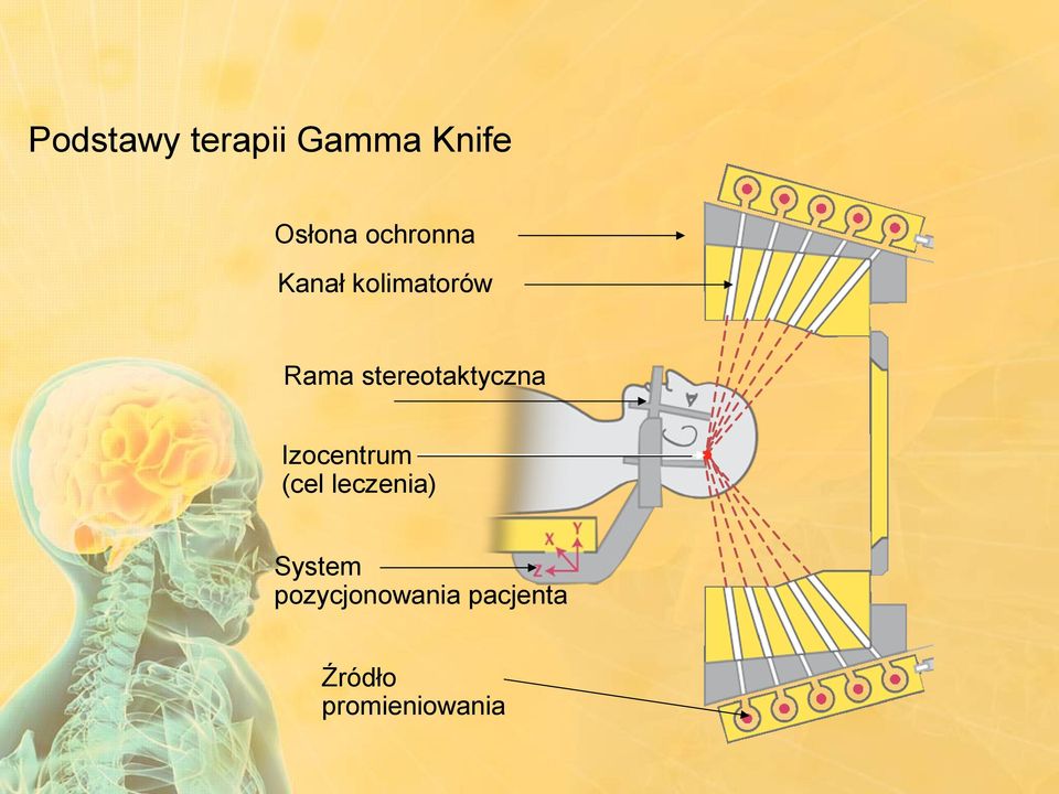 stereotaktyczna Izocentrum (cel