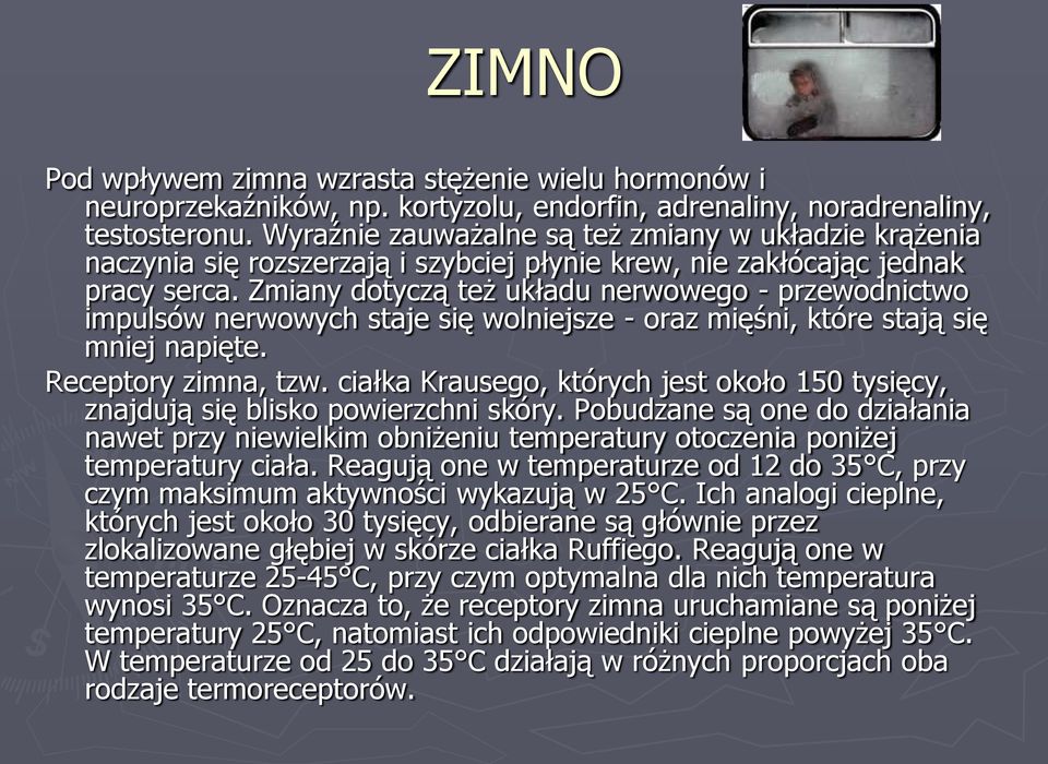 Zmiany dotyczą też układu nerwowego - przewodnictwo impulsów nerwowych staje się wolniejsze - oraz mięśni, które stają się mniej napięte. Receptory zimna, tzw.