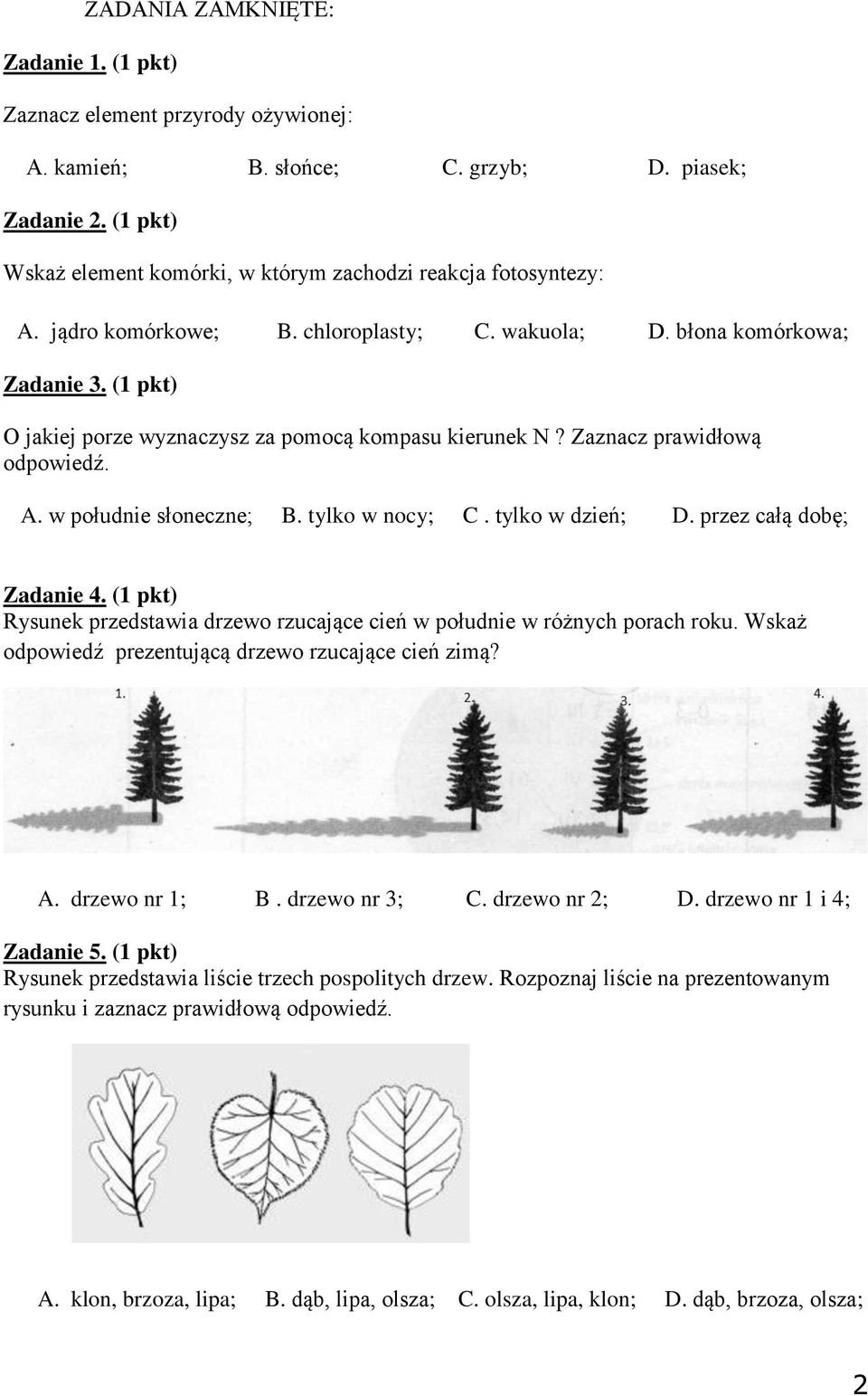 tylko w nocy; C. tylko w dzień; D. przez całą dobę; Zadanie 4. (1 pkt) Rysunek przedstawia drzewo rzucające cień w południe w różnych porach roku.