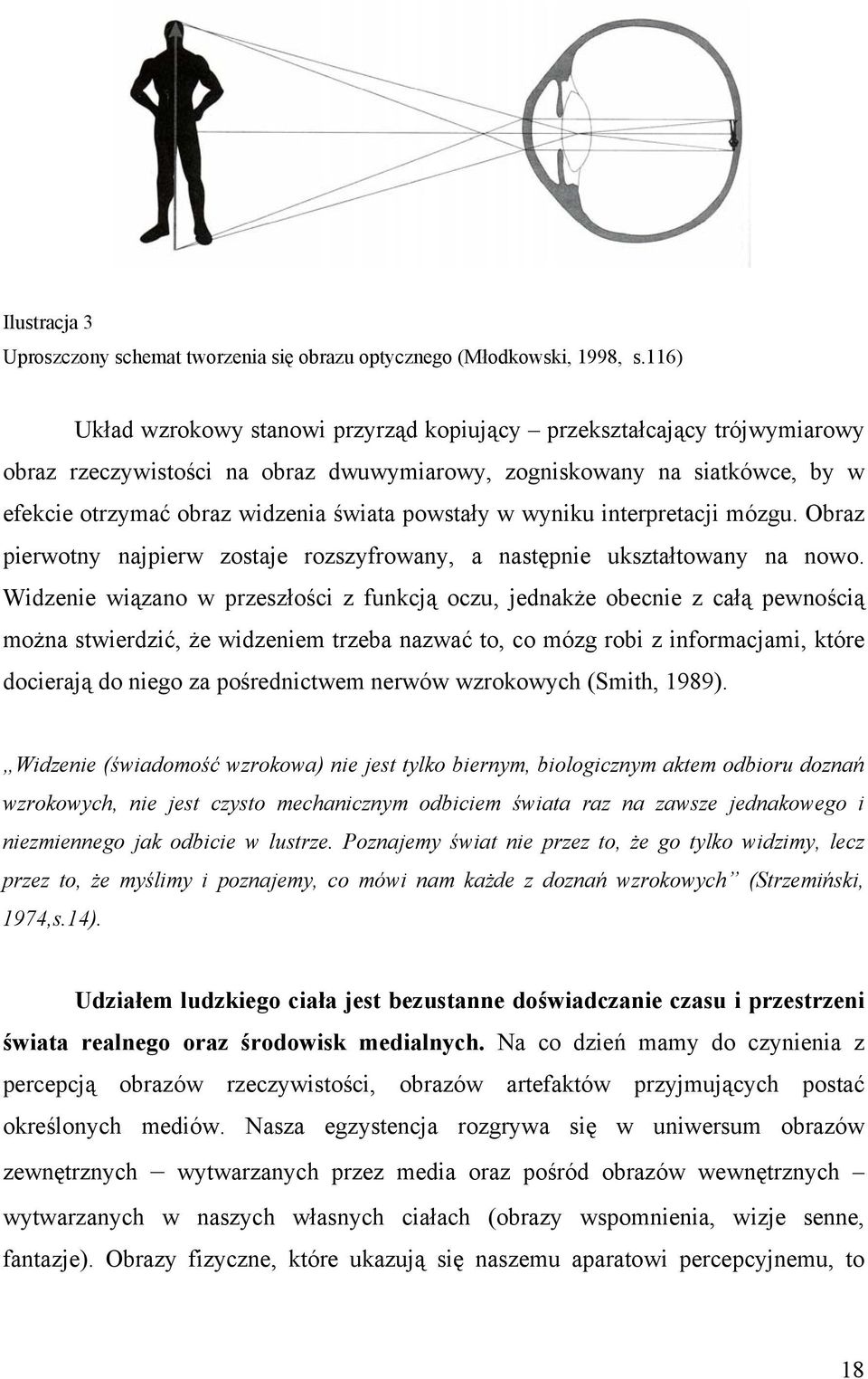 powstały w wyniku interpretacji mózgu. Obraz pierwotny najpierw zostaje rozszyfrowany, a następnie ukształtowany na nowo.