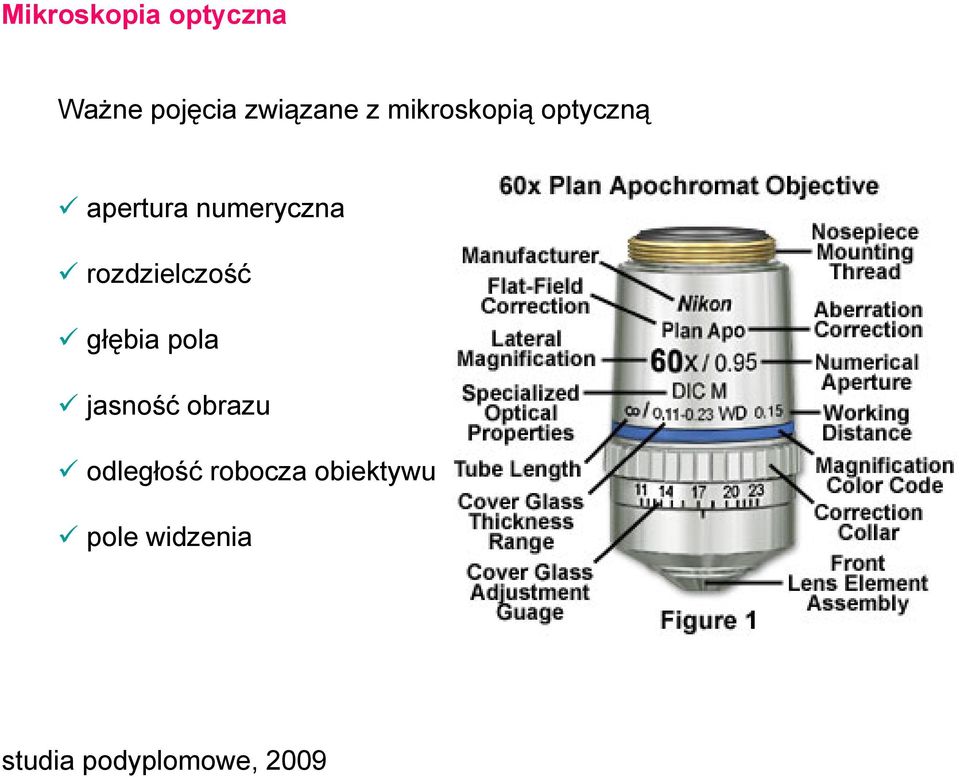 numeryczna rozdzielczość głębia pola