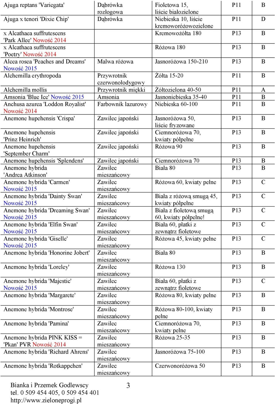 Przywrotnik miękki Żółtozielona 40-50 msonia 'lue Ice' msonia Jasnoniebieska 35-40 nchusa azurea 'Loddon Royalist' Farbownik lazurowy Niebieska 60-100 nemone hupehensis 'rispa' Zawilec japoński