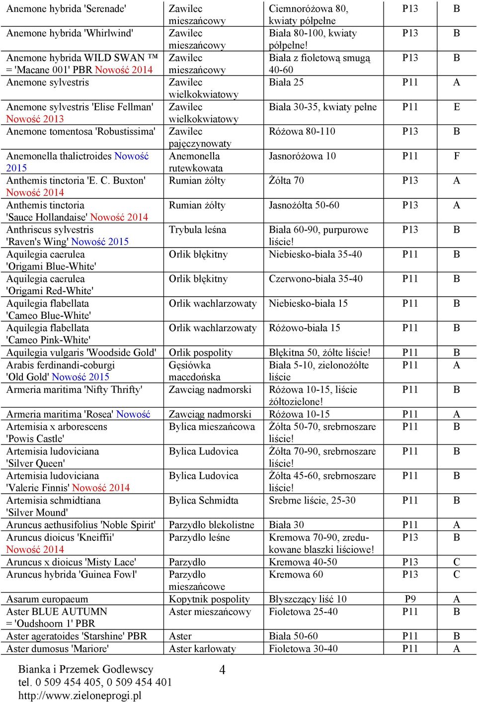 Nowość 2013 wielkokwiatowy nemone tomentosa 'Robustissima' Zawilec Różowa 80-110 pajęczynowaty nemonella thalictroides Nowość nemonella Jasnoróżowa 10 F 2015 rutewkowata nthemis tinctoria 'E.