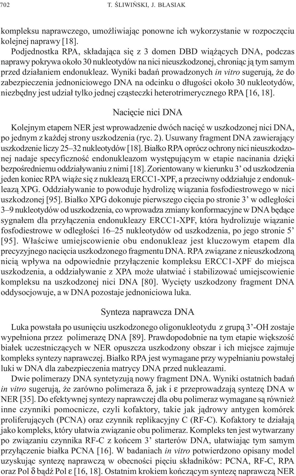 Wyniki badañ prowadzonych in vitro sugeruj¹, e do zabezpieczenia jednoniciowego DNA na odcinku o d³ugoœci oko³o 30 nukleotydów, niezbêdny jest udzia³ tylko jednej cz¹steczki heterotrimerycznego RPA