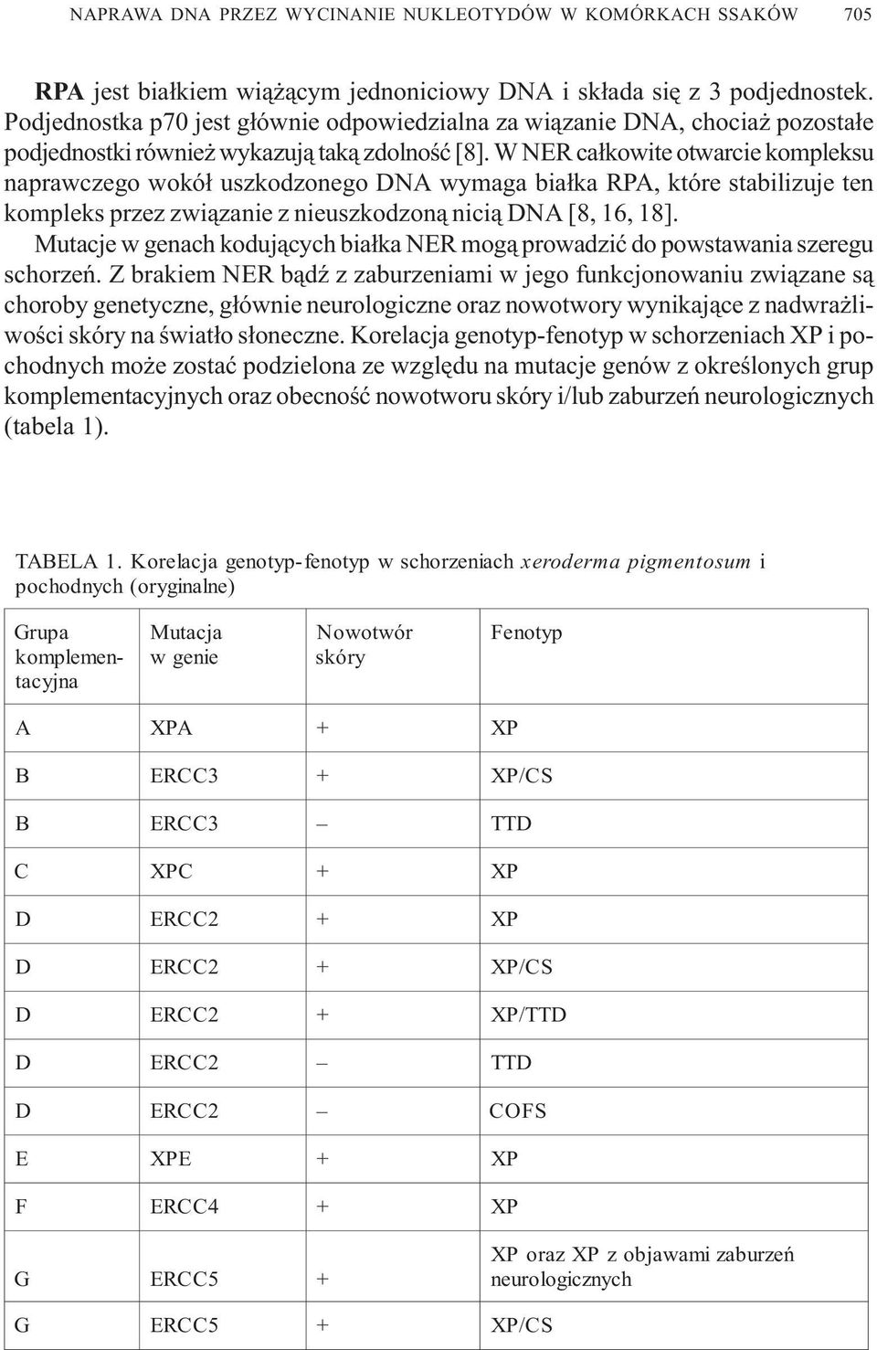 W NER ca³kowite otwarcie kompleksu naprawczego wokó³ uszkodzonego DNA wymaga bia³ka RPA, które stabilizuje ten kompleks przez zwi¹zanie z nieuszkodzon¹ nici¹ DNA [8, 16, 18].