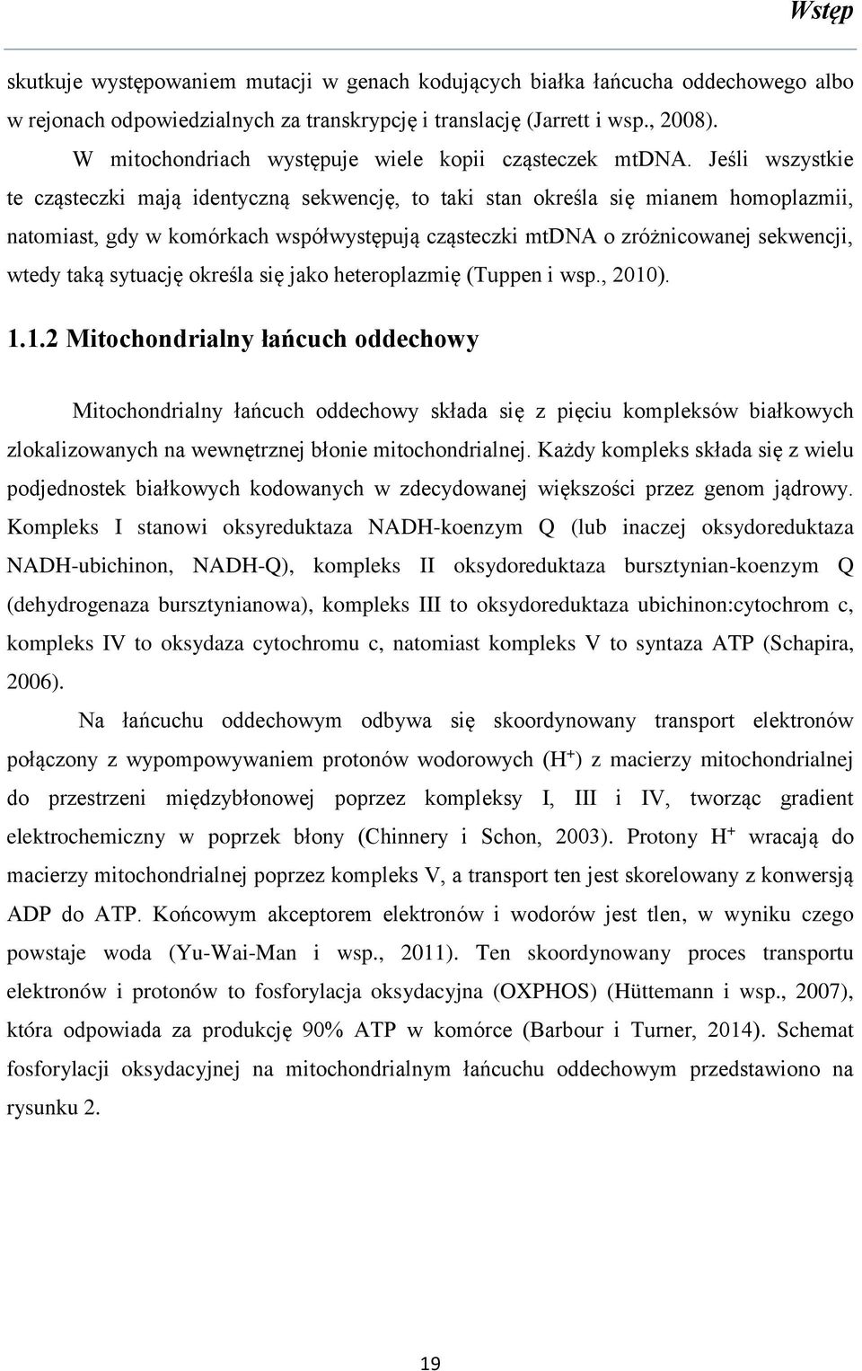 Jeśli wszystkie te cząsteczki mają identyczną sekwencję, to taki stan określa się mianem homoplazmii, natomiast, gdy w komórkach współwystępują cząsteczki mtdna o zróżnicowanej sekwencji, wtedy taką