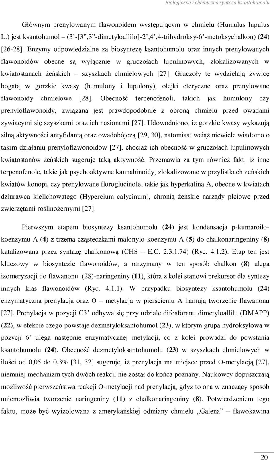 Enzymy odpowiedzialne za biosyntezę ksantohumolu oraz innych prenylowanych flawonoidów obecne są wyłącznie w gruczołach lupulinowych, zlokalizowanych w kwiatostanach żeńskich szyszkach chmielowych