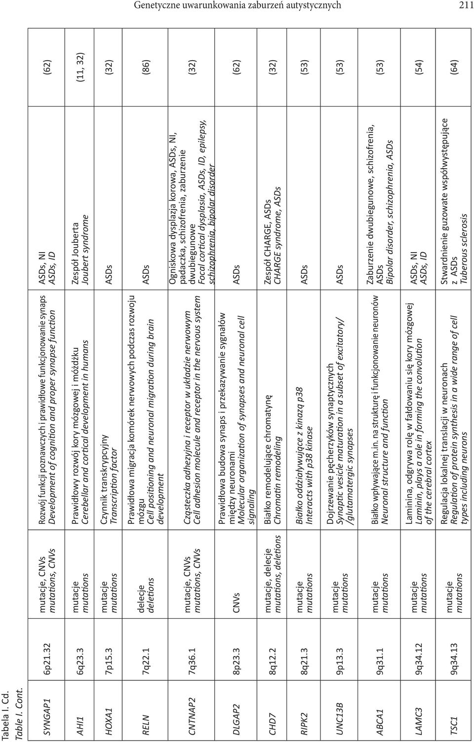 13 Rozwój funkcji poznawczych i prawidłowe funkcjonowanie synaps Development of cogni on and proper synapse func on Prawidłowy rozwój kory mózgowej i móżdżku Cerebellar and cor cal development in