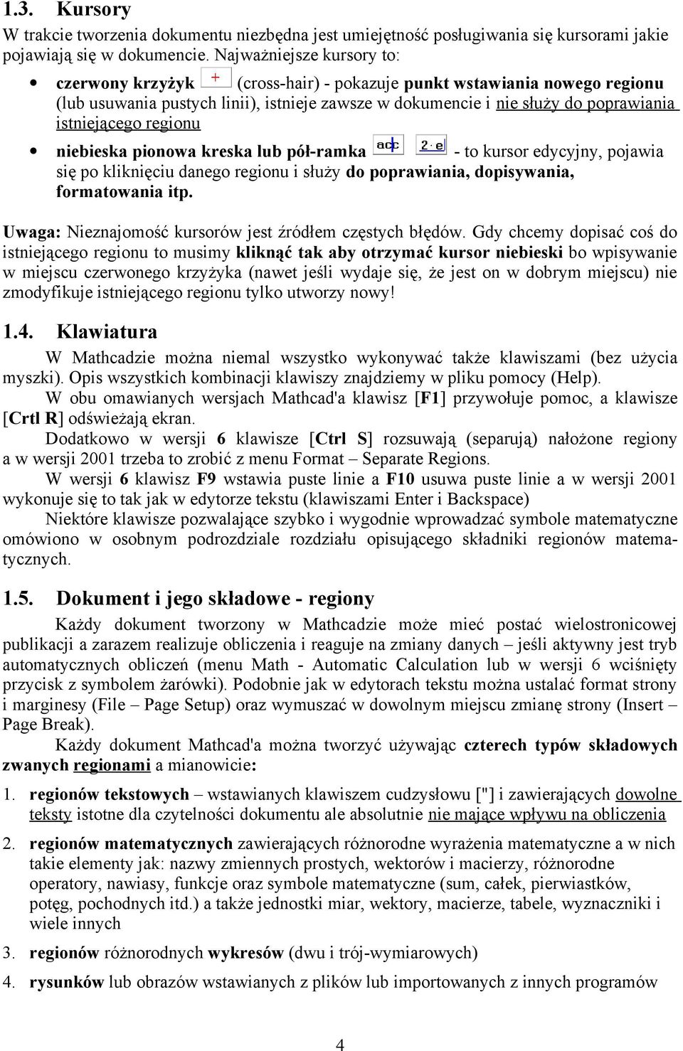 regionu niebieska pionowa kreska lub pół-ramka - to kursor edycyjny, pojawia się po kliknięciu danego regionu i służy do poprawiania, dopisywania, formatowania itp.