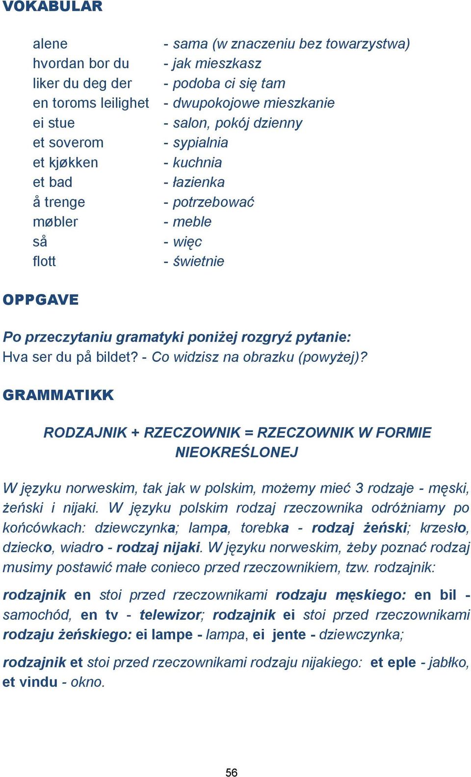 bildet? - Co widzisz na obrazku (powyżej)? GRAMMATIKK RODZAJNIK + RZECZOWNIK = RZECZOWNIK W FORMIE NIEOKREŚLONEJ W języku norweskim, tak jak w polskim, możemy mieć 3 rodzaje - męski, żeński i nijaki.