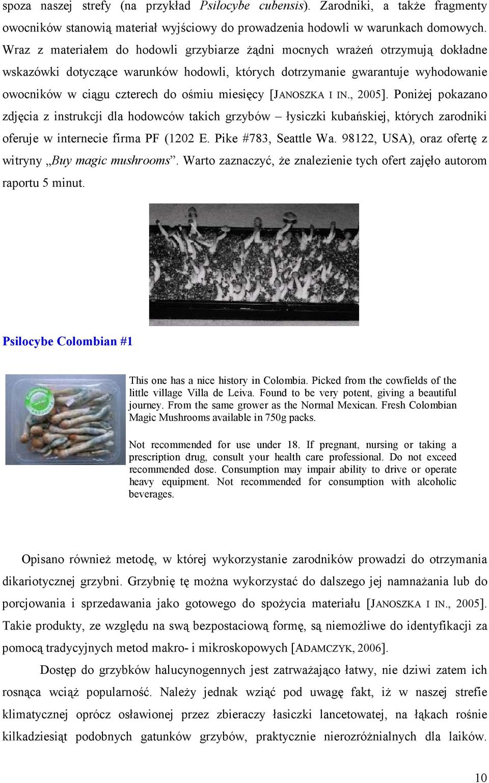 miesięcy [JAOSZKA I I., 2005]. Poniżej pokazano zdjęcia z instrukcji dla hodowców takich grzybów łysiczki kubańskiej, których zarodniki oferuje w internecie firma PF (1202 E. Pike #783, Seattle Wa.