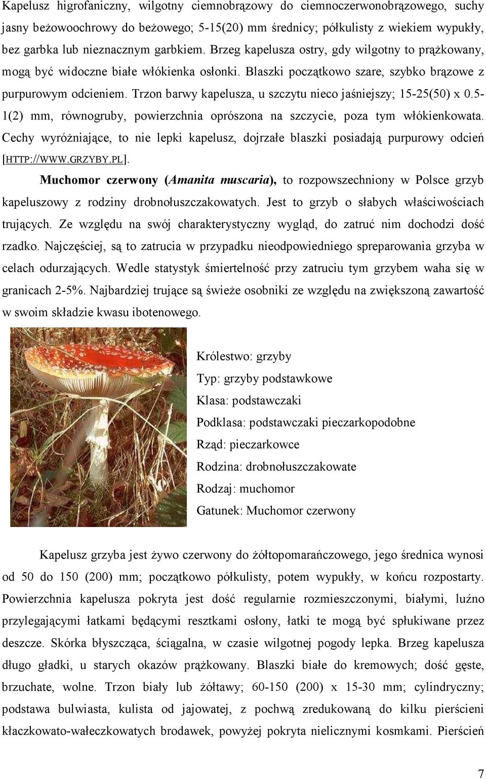 Trzon barwy kapelusza, u szczytu nieco jaśniejszy; 15-25(50) x 0.5-1(2) mm, równogruby, powierzchnia oprószona na szczycie, poza tym włókienkowata.