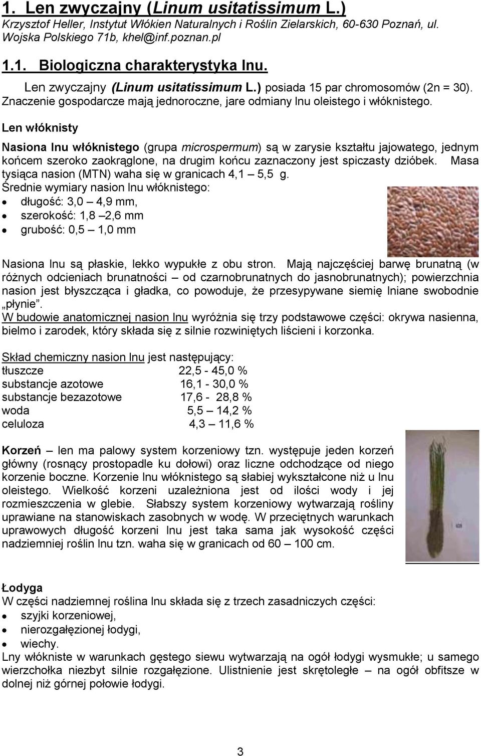 Len włóknisty Nasiona lnu włóknistego (grupa microspermum) są w zarysie kształtu jajowatego, jednym końcem szeroko zaokrąglone, na drugim końcu zaznaczony jest spiczasty dzióbek.