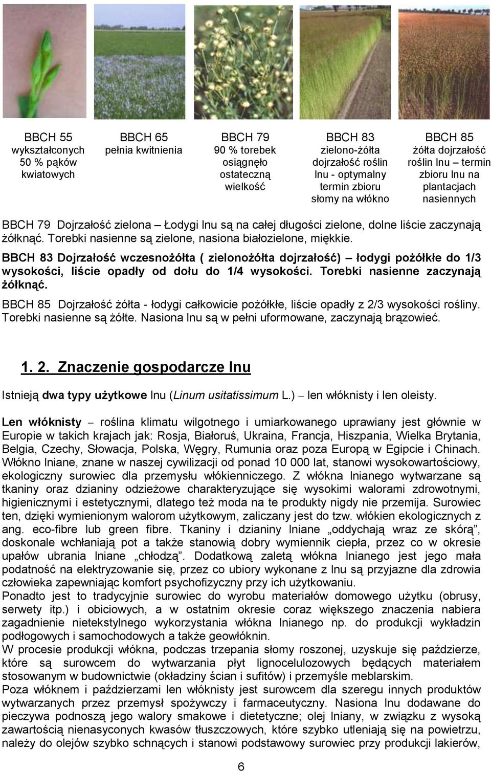 Torebki nasienne są zielone, nasiona białozielone, miękkie. BBCH 83 Dojrzałość wczesnożółta ( zielonożółta dojrzałość) łodygi pożółkłe do 1/3 wysokości, liście opadły od dołu do 1/4 wysokości.