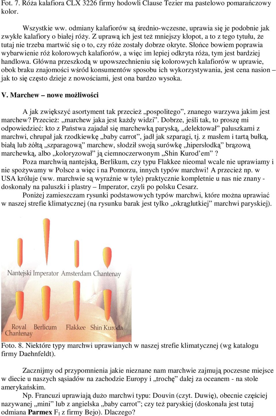 Z upraw ich jest te mniejszy k opot, a to z tego tytu u, e tutaj nie trzeba martwi si o to, czy ró e zosta y dobrze okryte.