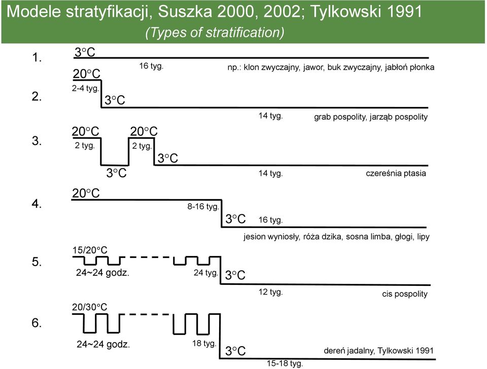 grab pospolity, jarząb pospolity 14 tyg. czereśnia ptasia 4. 20 C 8-16 tyg. 3 C 16 tyg.