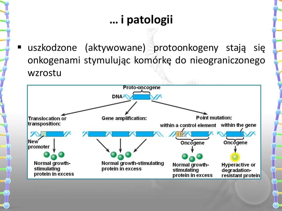 stają się onkogenami