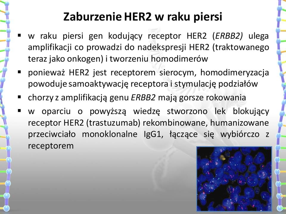 samoaktywację receptora i stymulację podziałów chorzy z amplifikacją genu ERBB2 mają gorsze rokowania w oparciu o powyższą wiedzę