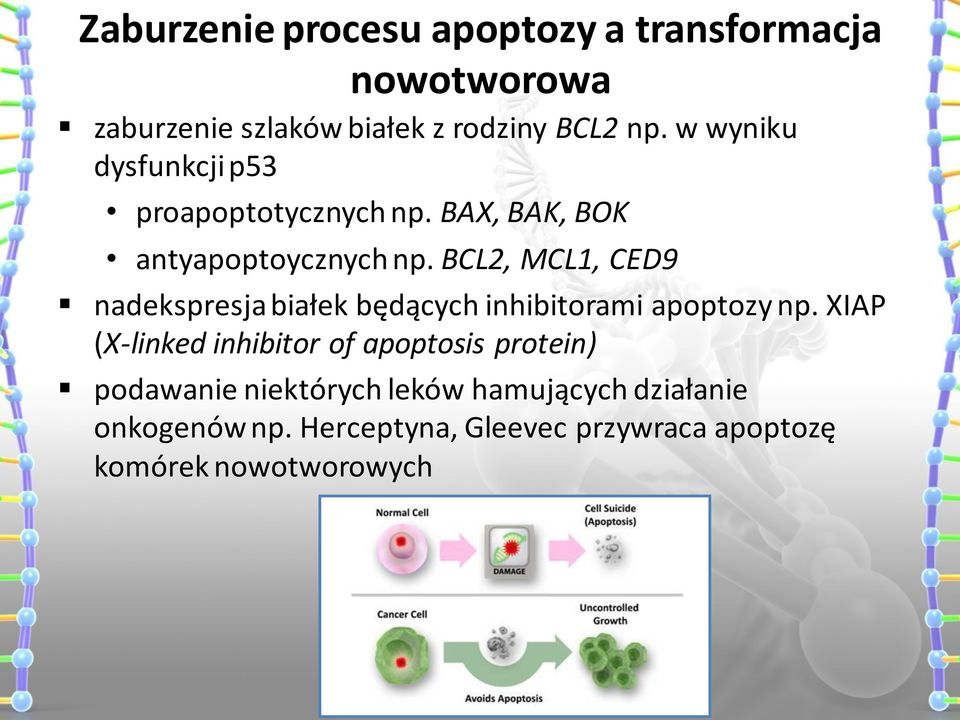 BCL2, MCL1, CED9 nadekspresja białek będących inhibitorami apoptozy np.