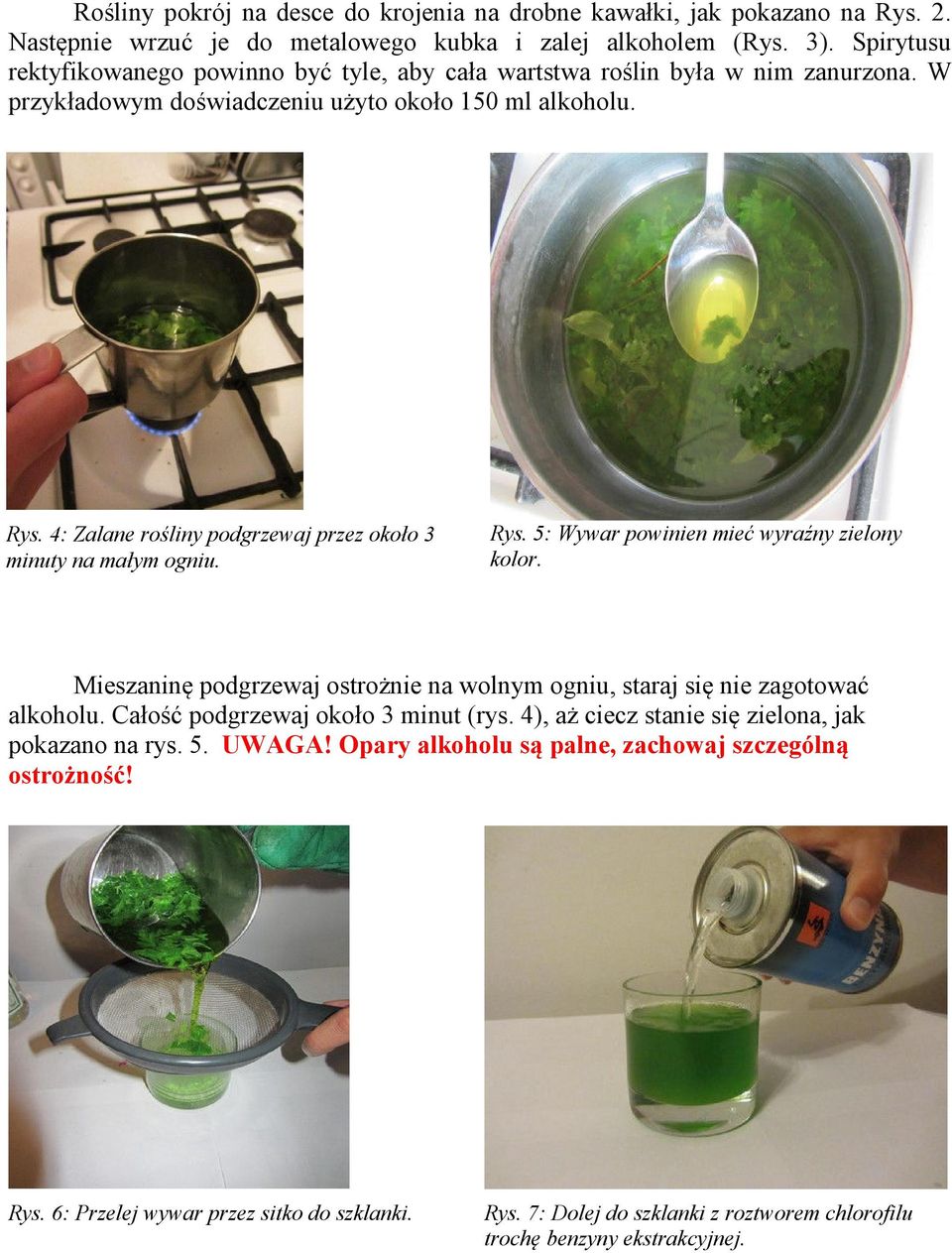4: Zalane rośliny podgrzewaj przez około 3 minuty na małym ogniu. Rys. 5: Wywar powinien mieć wyraźny zielony kolor.