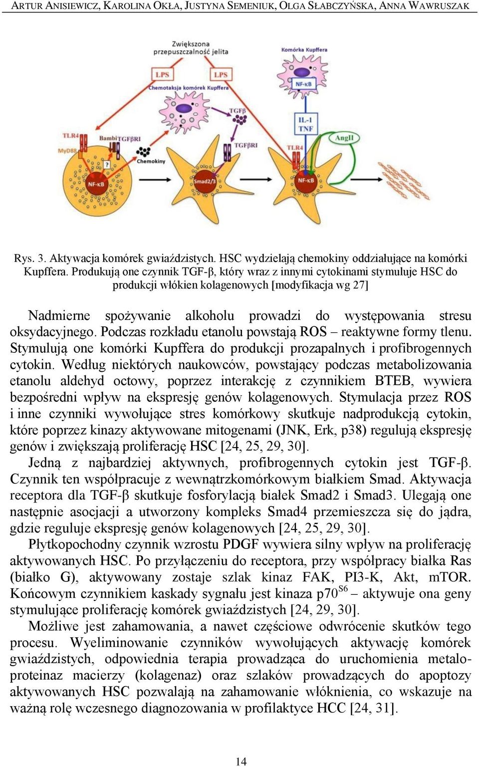 oksydacyjnego. Podczas rozkładu etanolu powstają ROS reaktywne formy tlenu. Stymulują one komórki Kupffera do produkcji prozapalnych i profibrogennych cytokin.