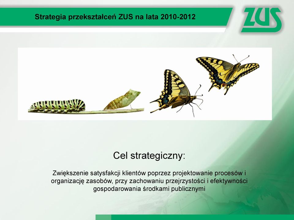 projektowanie procesów i organizację zasobów, przy